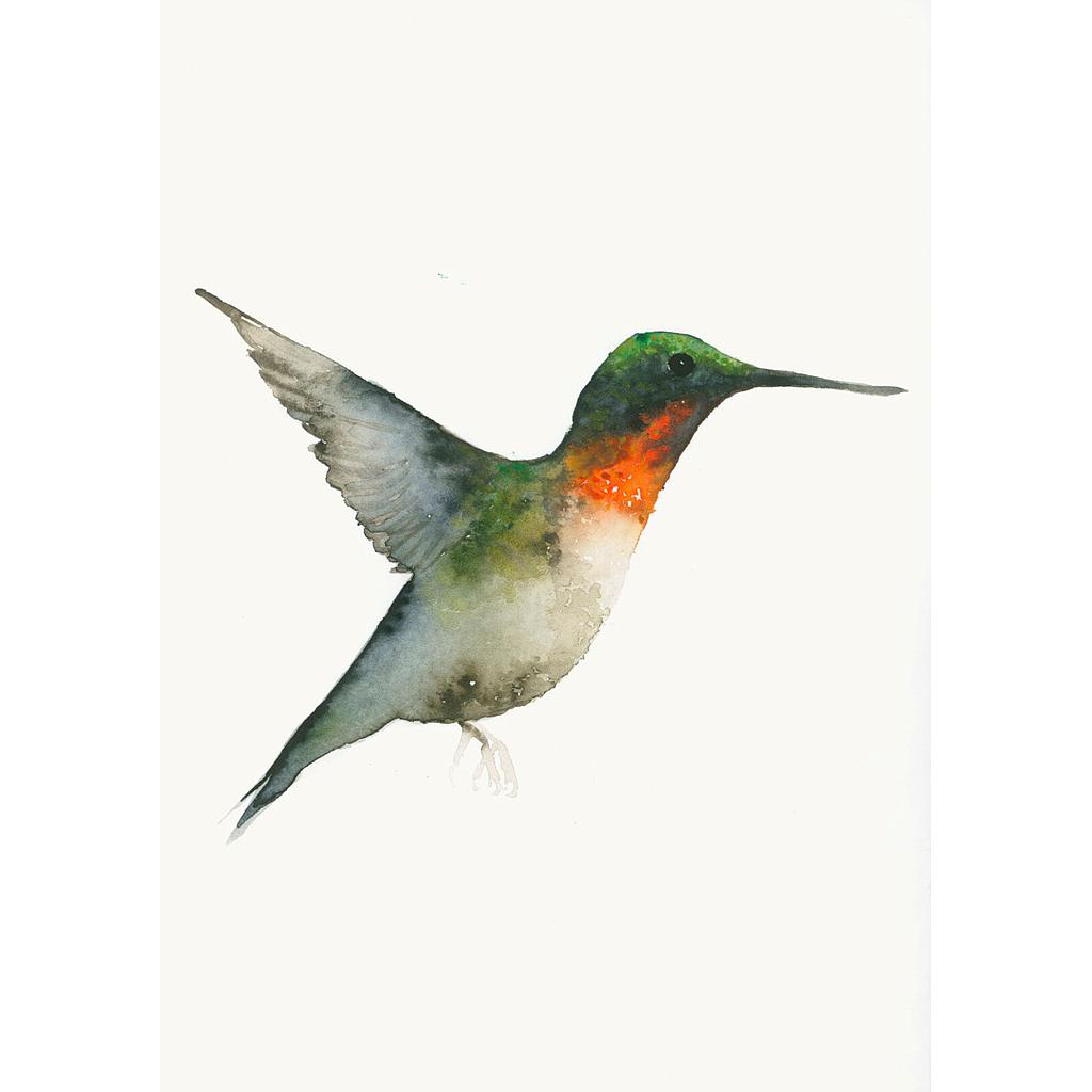 Kunstdruck Aquarell Kolibri Grün