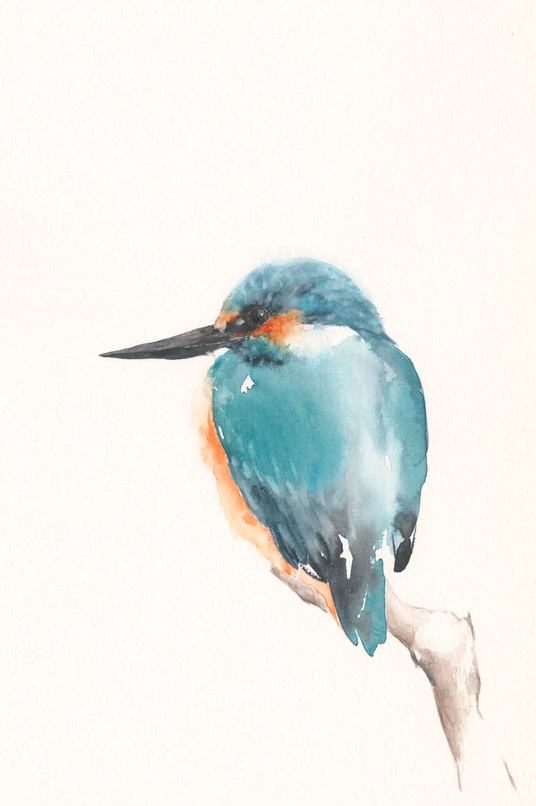 Eisvogel Grußkarte Aquarell Kunstdruck