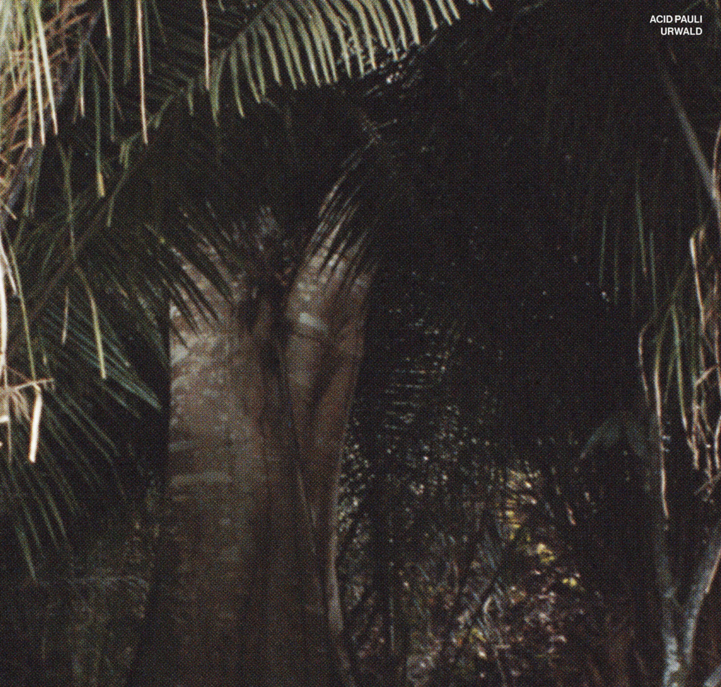 Urwald AIA002