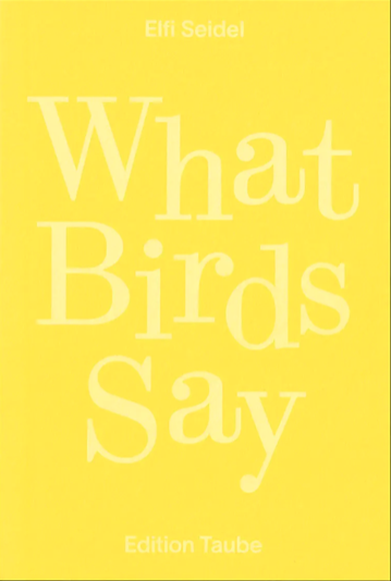 What Birds Say