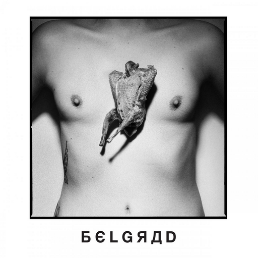 [HP003212] Belgrad MC