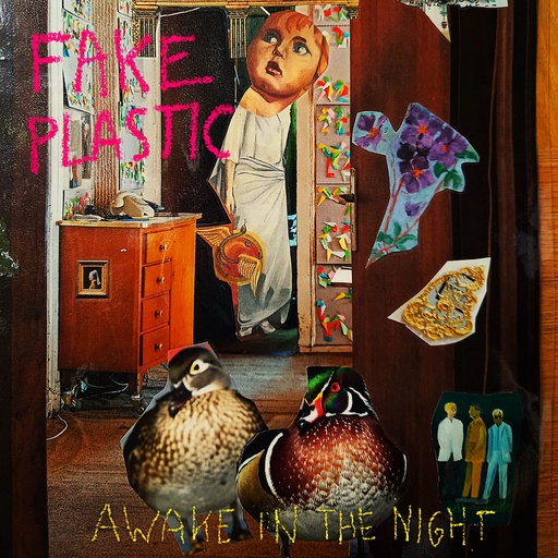 [PR/04567] Awake In The Night