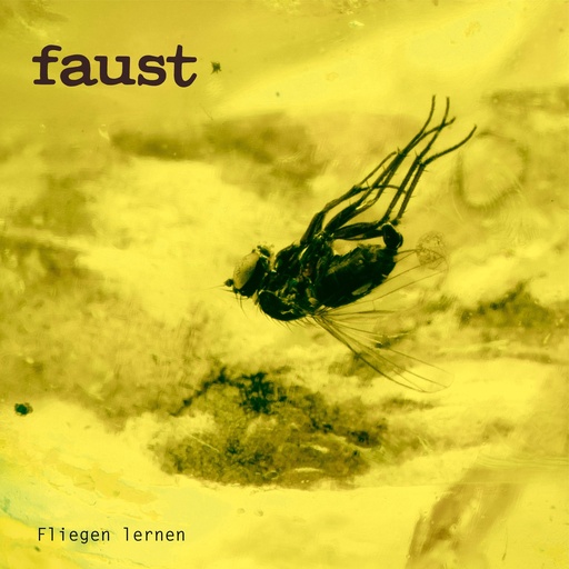 [PR/05326] Fliegen lernen (Curated by Gunther Wüsthoff) 