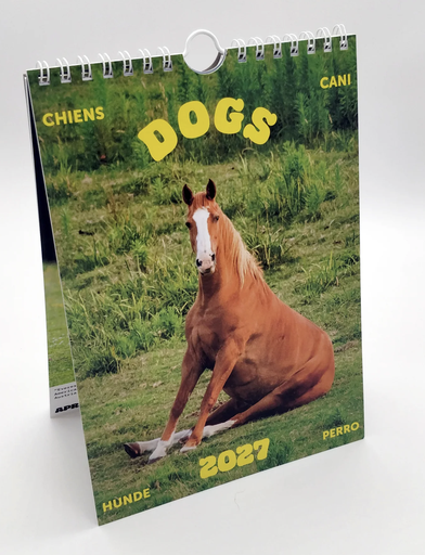 [PR/05424] Dogs Kalender 